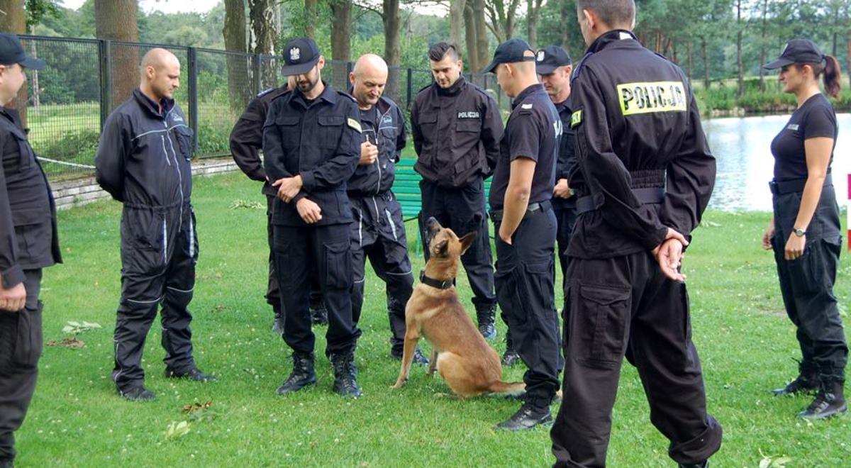 Psy służb mundurowych otrzymają dożywotnie utrzymanie i opiekę. Nowe przepisy weszły w życie