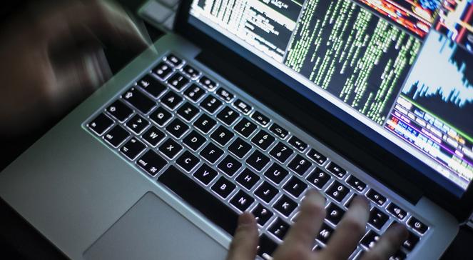 Tureccy hackerzy zaatakowali Holandię. To zemsta za zakaz wjazdu dla polityków z Ankary