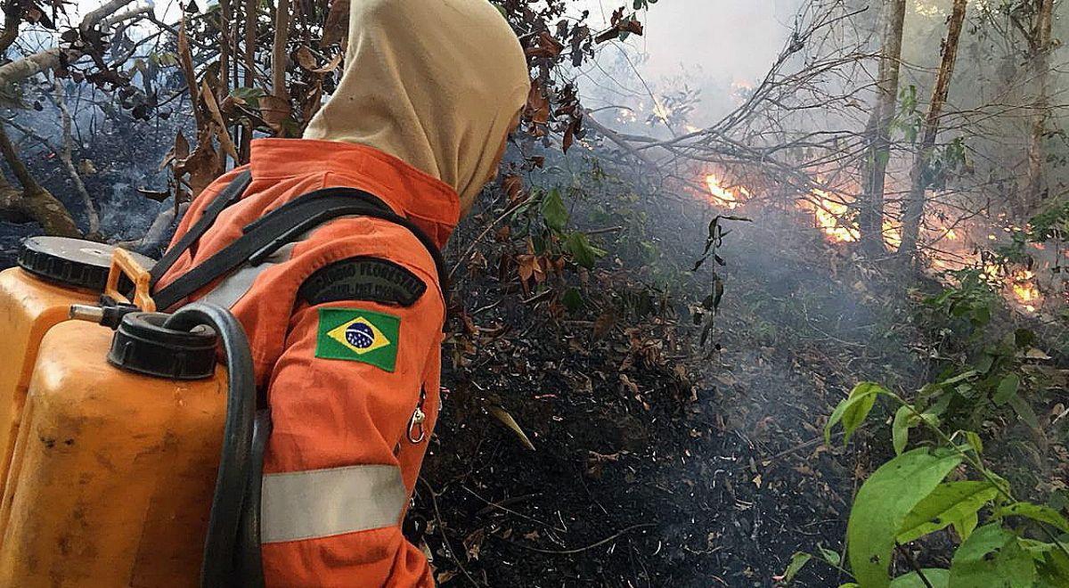 Prezydent Brazylii o pożarach w Amazonii: kto za tym stoi? Rolnicy, organizacje, Indianie?
