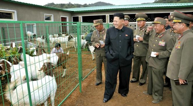 Czystka w Korei Północnej. Dyktator buduje kult wodza