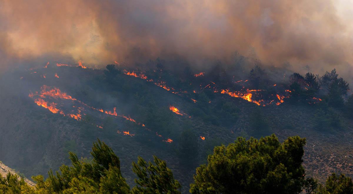 Nowe pożary na Korfu. Cała Grecja walczy z żywiołem, strażacy odnoszą sukcesy