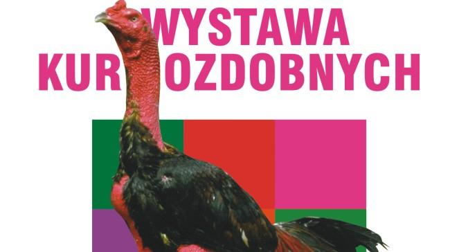 Wystawa Kur Ozdobnych w Warszawie 