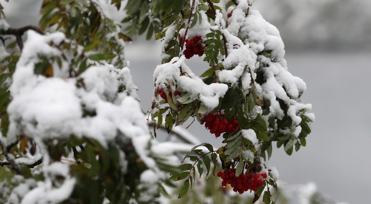 Pierwszy śnieg także w Beskidach. "Warunki pogodowe są fatalne"
