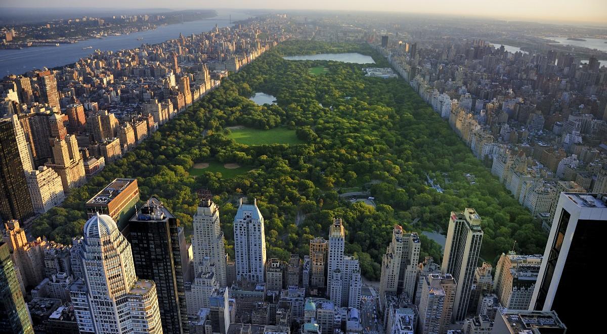 Śmierć jednego z symboli Central Parku. Mieszkańcy Nowego Jorku są oburzeni