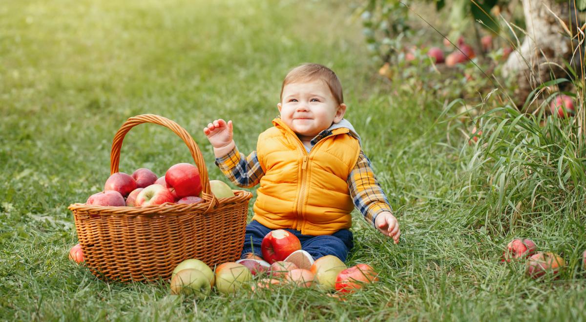 Dlaczego jabłkiem można karmić nawet bardzo małe dzieci?