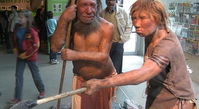 Za duże oczy przyczyną wyginięcia Neandertalczyków