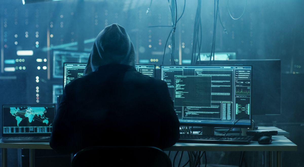 Hakerzy uderzyli w strony internetowe szwajcarskiego rządu. Za atakiem stoi grupa powiązana z Rosją