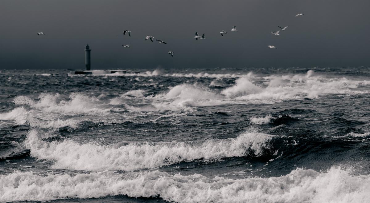 Silny wiatr na Pomorzu. Jest ostrzeżenie o sztormie na Bałtyku