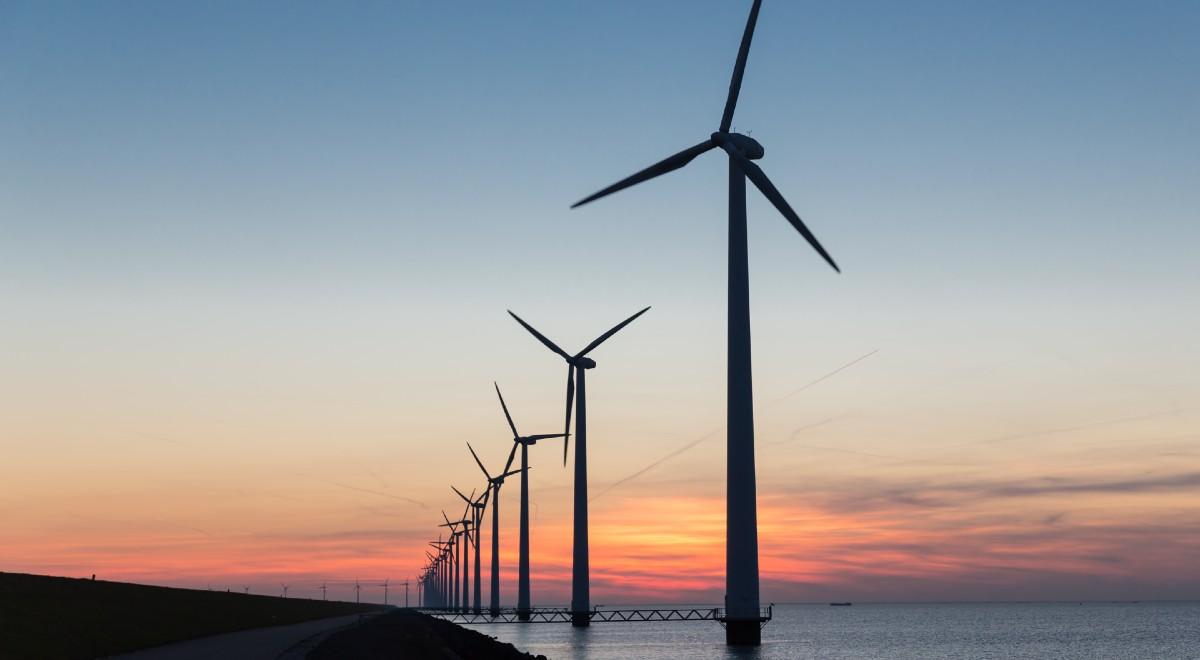 Kolejny polski koncern energetyczny stawia na zielony prąd. Tauron zapowiada 11 farmę wiatrową