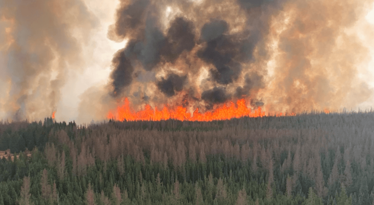 Pożary lasów w Kanadzie. W jednej z prowincji ogłoszono stan wyjątkowy