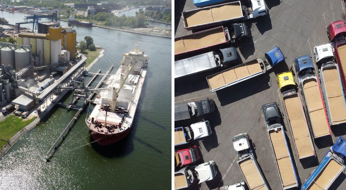 Port w Gdańsku przeżywa najazd ciężarówek ze zbożem. W kolejce do terminalu stoi nawet do 200 pojazdów [WIDEO]