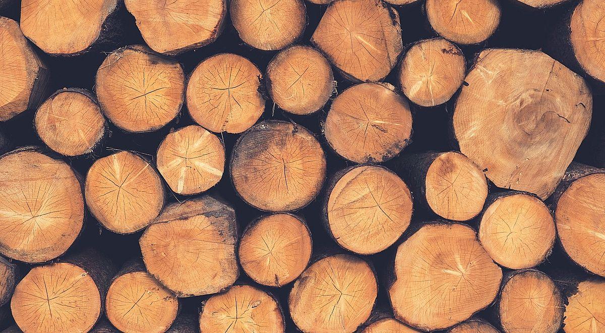 Dodatkowe 1,5 mln m sześc. drewna na opał. Wiceminister klimatu o uruchomieniu specjalnej puli