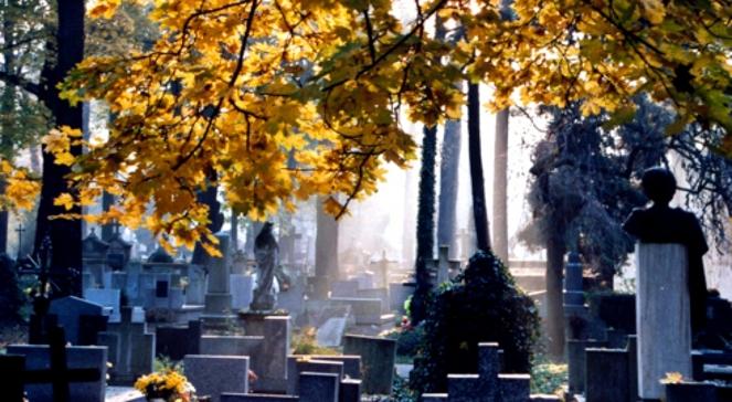 Dzień Wszystkich Świętych: jak tanio i efektownie ozdobić groby bliskich