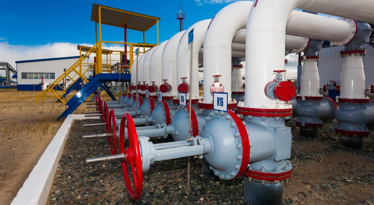 Rosja wstrzymuje dostawy gazu - po raz kolejny. Politycy: to nacisk na Niemcy i UE