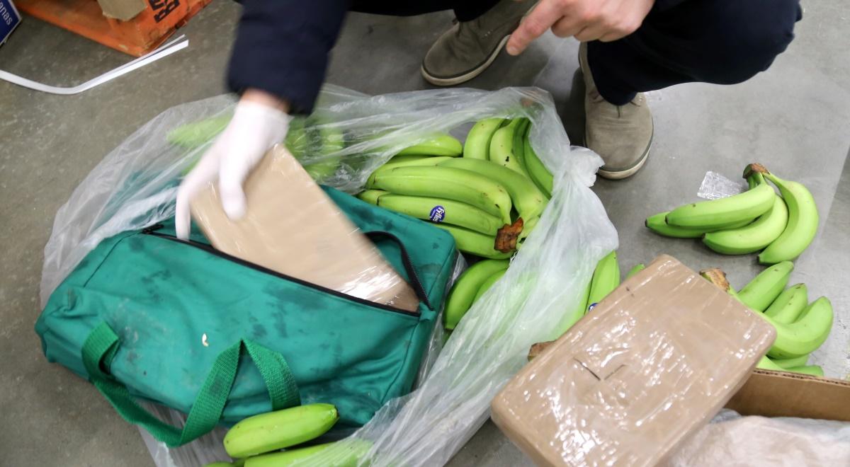 Kokaina w kolumbijskich bananach. Policja wykryła gigantyczny przemyt narkotyków