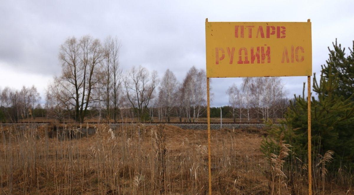 Rosjanie wjechali do Czerwonego Lasu. Pracownik elektrowni w Czarnobylu: to samobójstwo