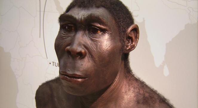 Homo erectus użył narzędzi już 2 mln lat temu