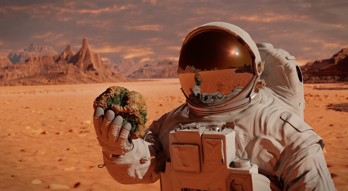 Czy kolonizacja Marsa będzie możliwa? Jakie trudności musimy pokonać?