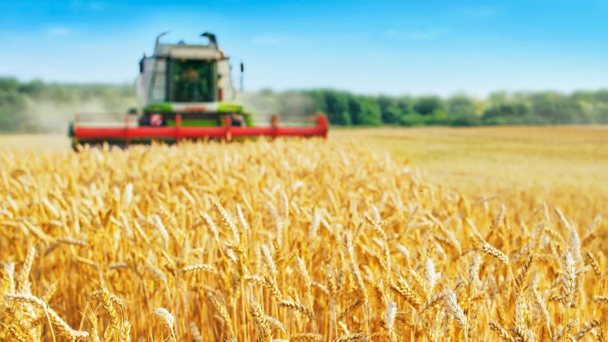 ARiMR pomaga rolnikom w modernizacji gospodarstw. Wsparcie może wynieść nawet 900 tys. zł