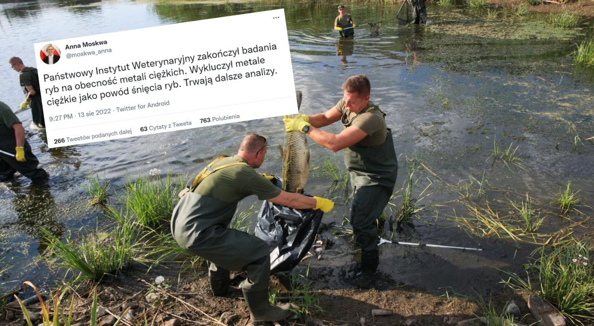 Zatrucie Odry. Anna Moskwa: metale ciężkie nie spowodowały śnięcia ryb