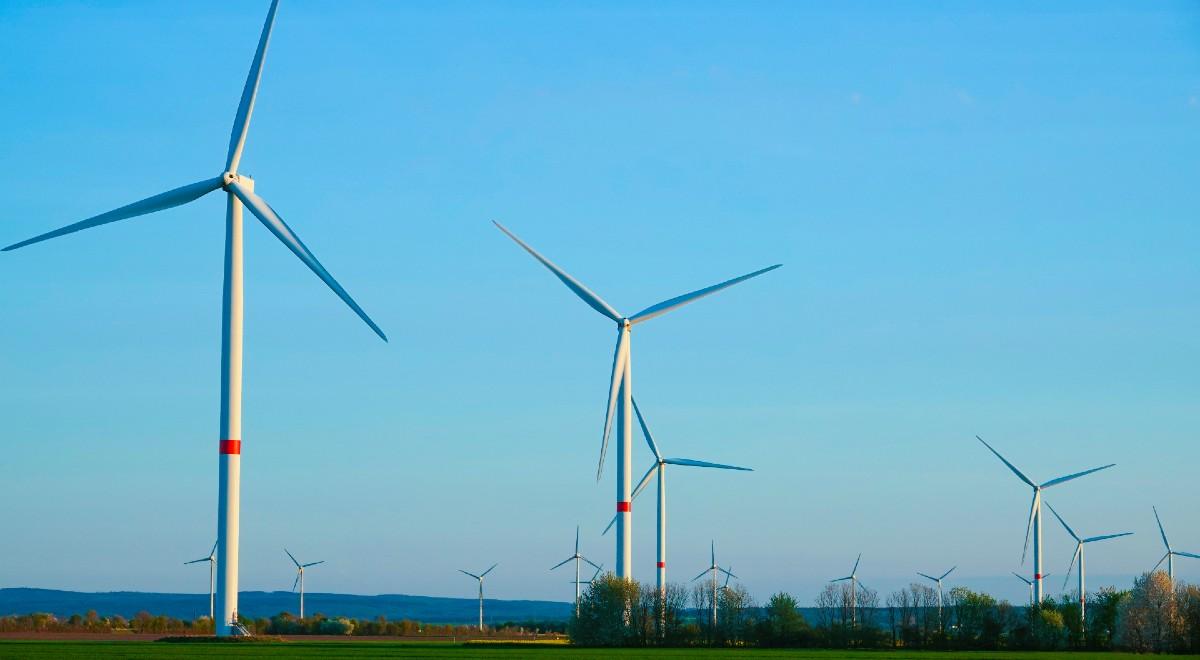 Realizacja Zielonego Zwrotu TAURONA. Spółka rusza z budową farmy wiatrowej w Łódzkiem
