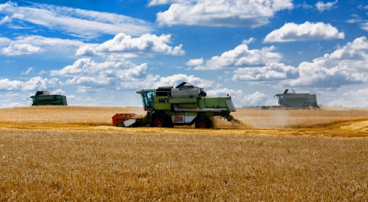 Wiceminister rolnictwa o ukraińskim zbożu: KE nie wywiązała się ze swoich zobowiązań