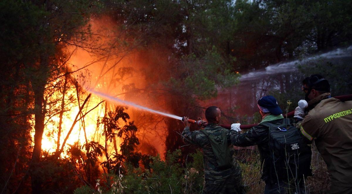 Europa szacuje straty poniesione w wyniku pożarów. W Grecji ogień uszkodził ponad tysiąc domów