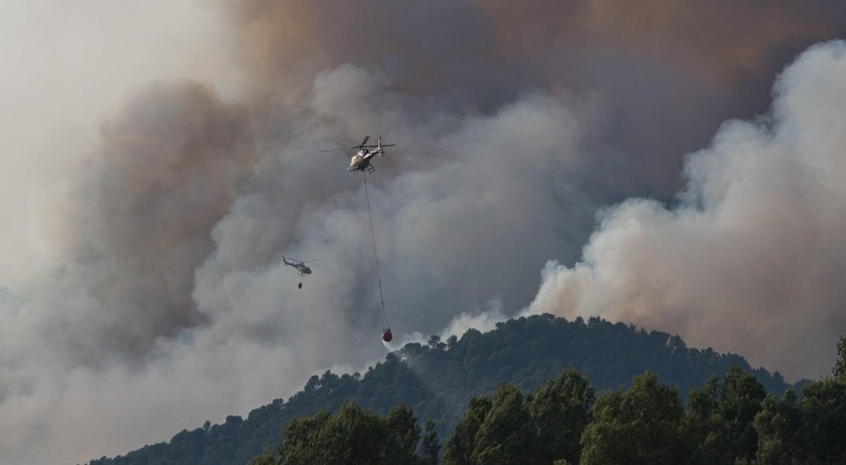 Pożary w Hiszpanii. Ogień trawi lasy i tereny rolne w kilku regionach kraju