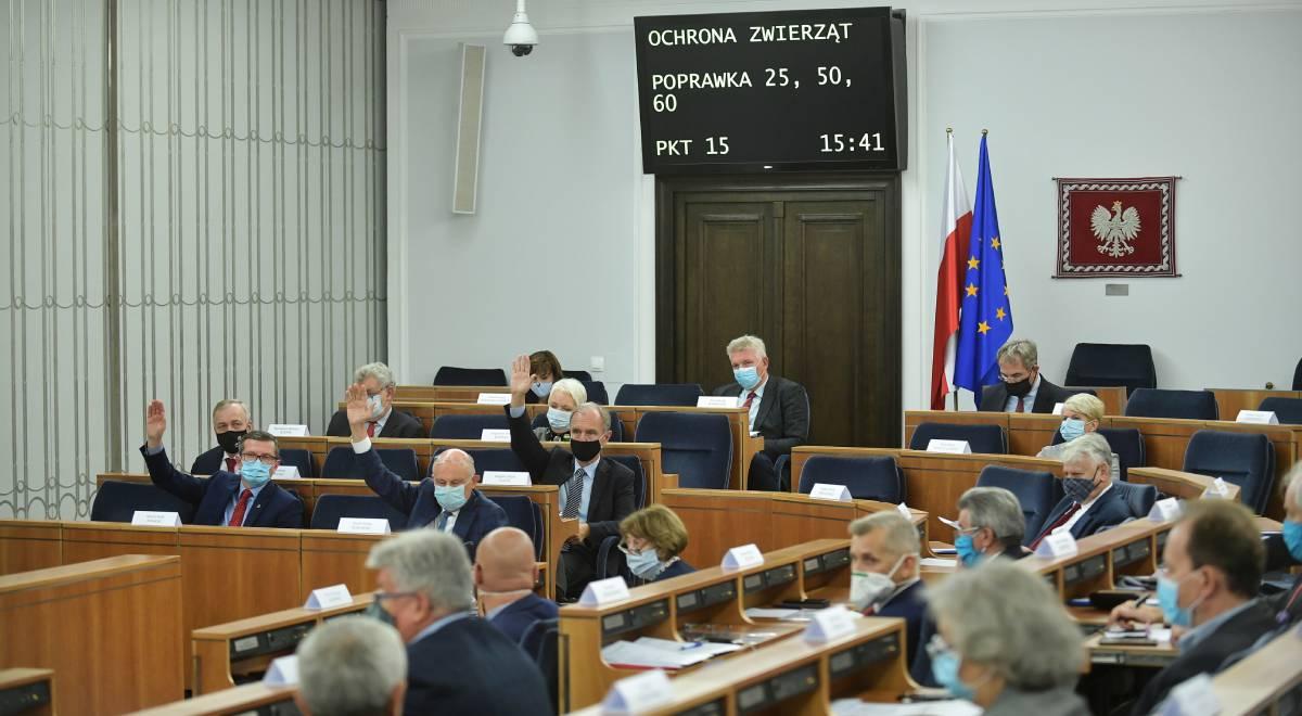 Konflikt w senackiej większości KO-PSL. Płużański: może skutkować rozpadem opozycyjnej koalicji