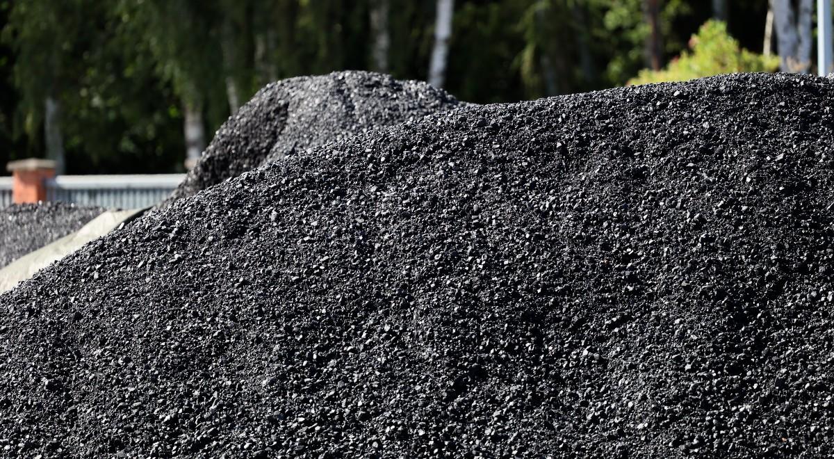 Prezes PiS krytykuje część samorządów za odmowę dystrybucji węgla. Zapewnia, że rząd "nie wywróci się na zimie"