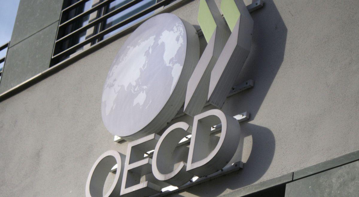 Najnowsza prognoza OECD. Czernicki z MF: kryzys energetyczny i inflacja mają w niej swoje odzwierciedlenie