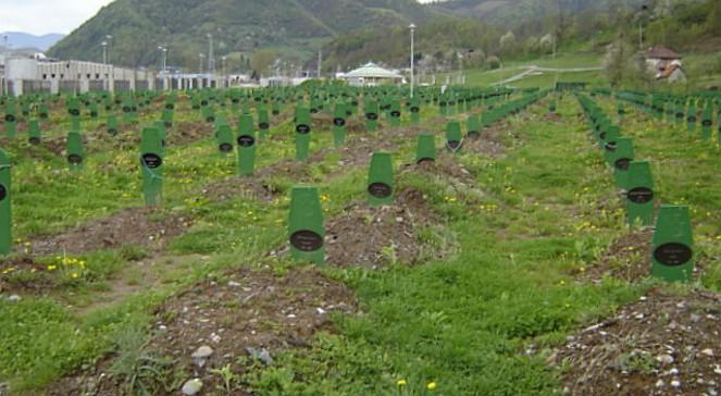 43 lata więzienia za masakrę w Srebrenicy