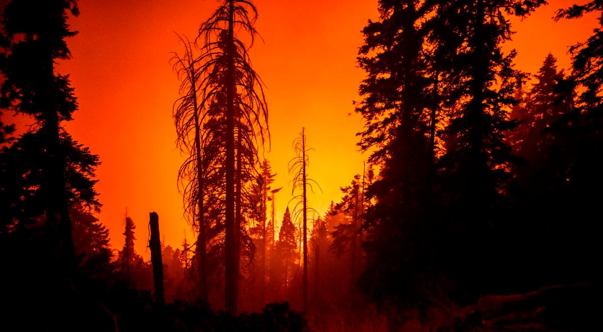 W USA szaleją największe od 18 lat pożary. Dym dotarł aż do Europy