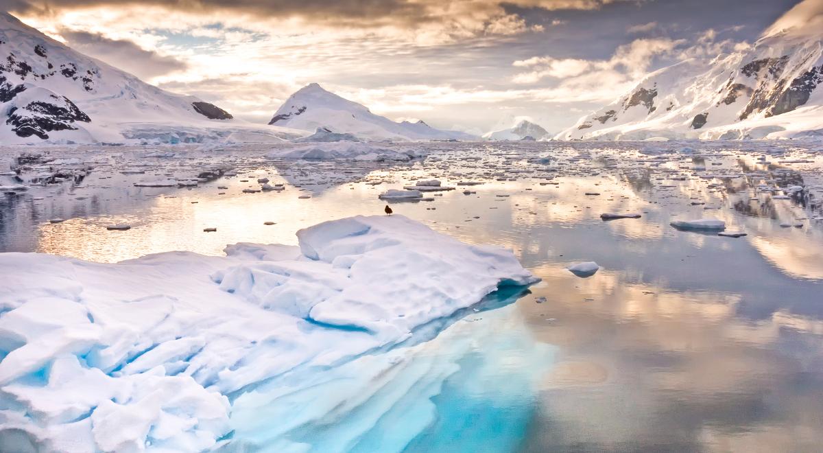 Antarktyda: kolejny rekord temperatury. Prawie 21 st. na jednej z wysp