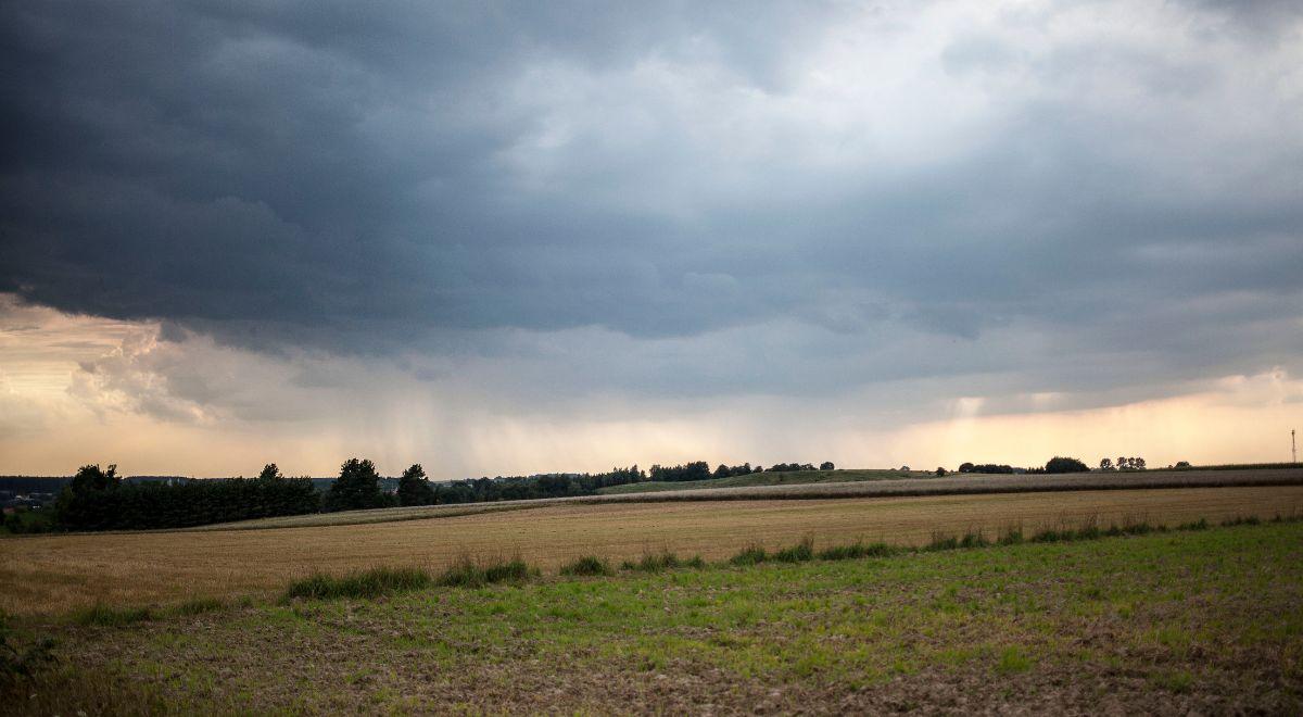 Pogorszenie pogody w Polsce sprzyja walce z suszą. IMGW: poprawiła się sytuacja hydrologiczna