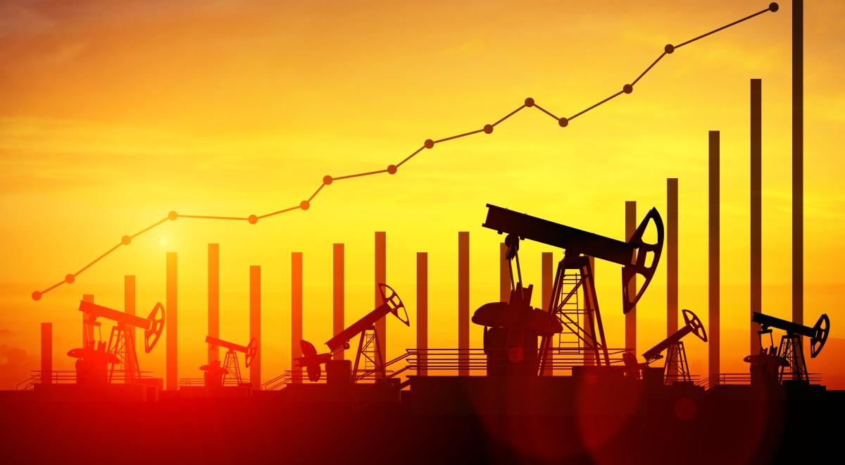 OPEC za przedłużeniem porozumienia. Co z cenami ropy naftowej?