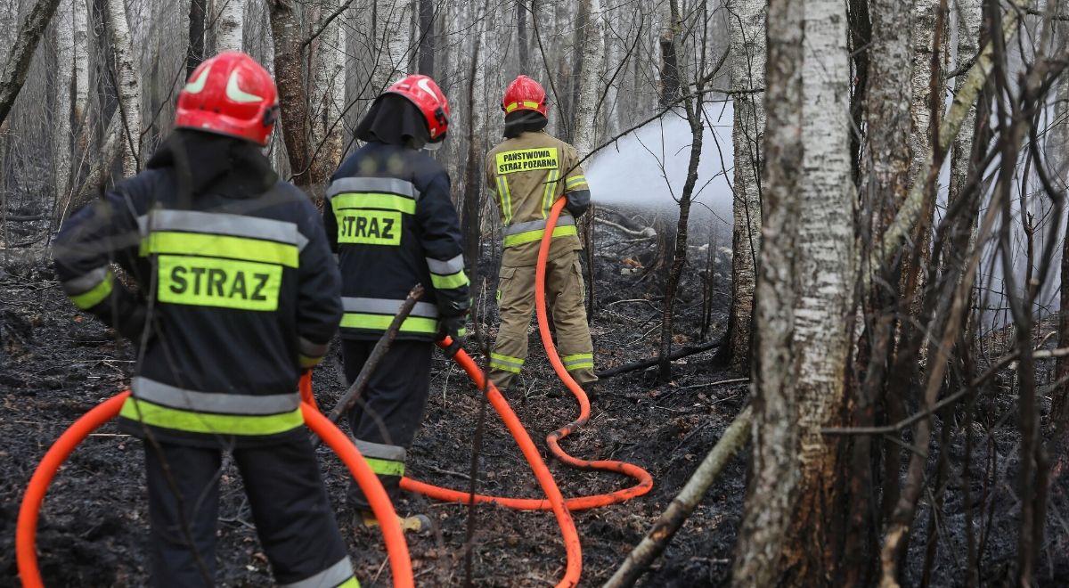 Po pożarze w Biebrzańskim Parku Narodowym. Ogromne wsparcie dla OSP