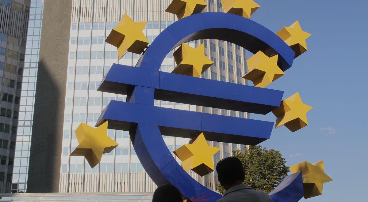 Były członek Bundestagu odradza przyjmowanie euro. "Polskie władze działają dobrze"