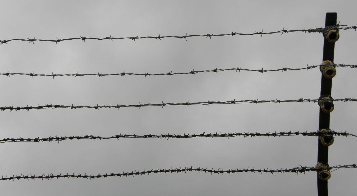 Piotr Dmitrowicz: obóz Mauthausen-Gusen to dla nas taki niemiecki Katyń