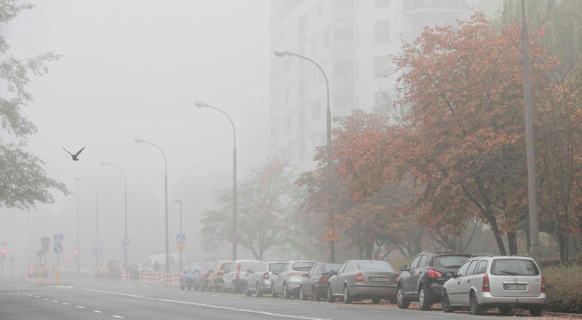 Gęste mgły we wschodniej i południowej Polsce. IMGW ostrzega