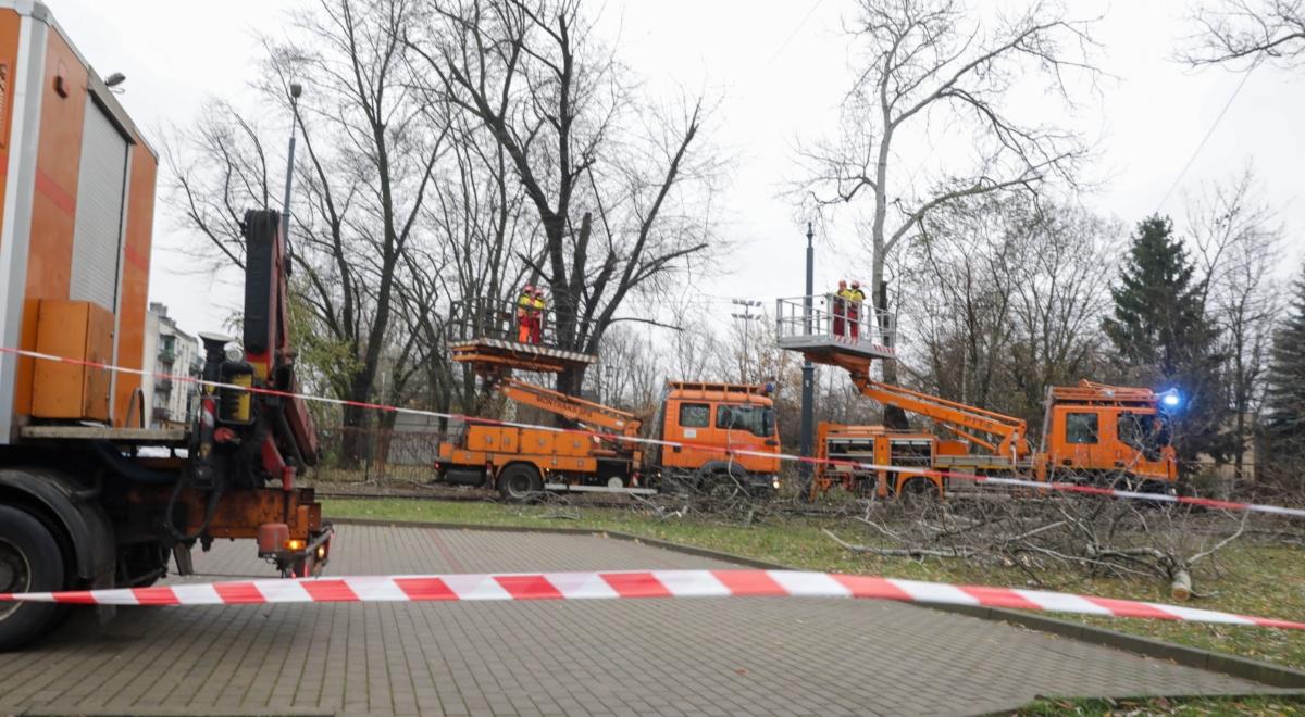 Skutki silnego wiatru. 3 tys. odbiorców bez prądu na Warmii i Mazurach, setki interwencji straży w całej Polsce